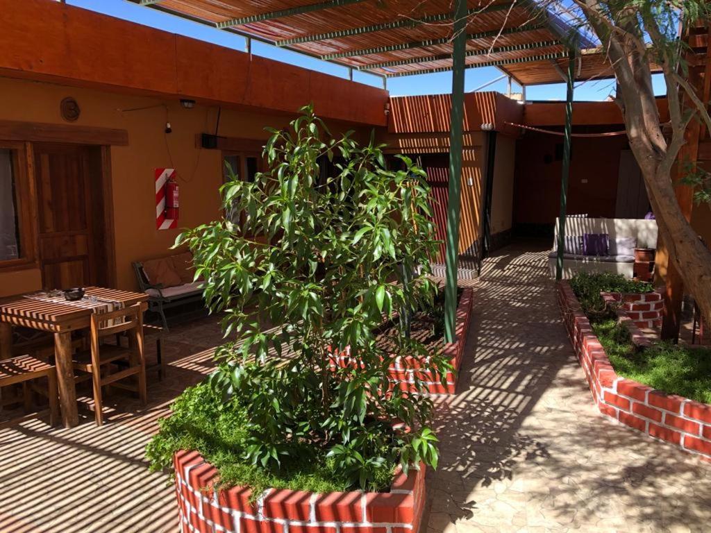 Hostal Nuevo Amanecer Сан-Педро-де-Атакама Экстерьер фото